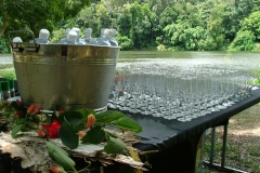 barron-river-luncheon-bar-and-riverjpg