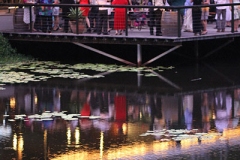 vertical-party-scene