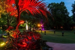 botanic-gardens-lighting