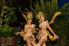 smbotanic gardens fairies