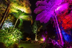 smbotanic gardens trees