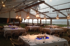 smellis clear skin with rope lights 2