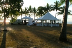 wedding-park-view