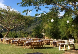 smlittle-mulgrave-roos-road-day